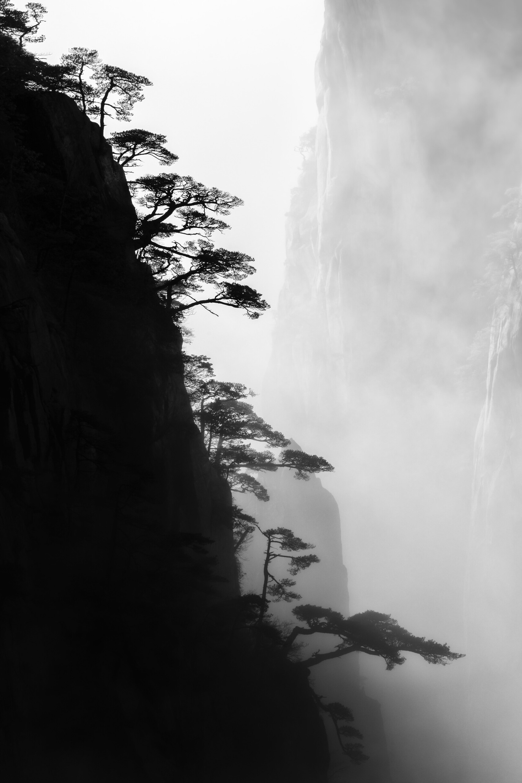 DSC_0384-Edit-BW-Edit copy Yellow Mountains Photo Tour