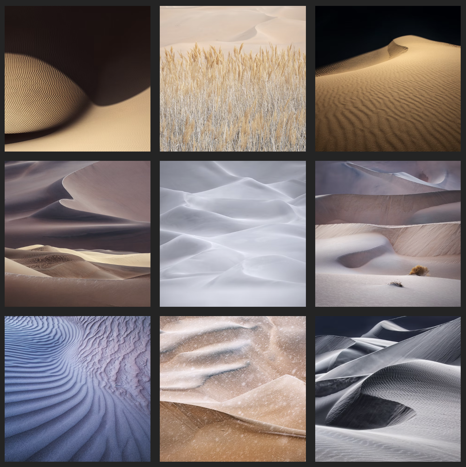 Andrea Pozzi Gobi Desert